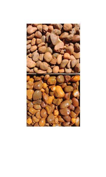 Pebbles Chocolate Brown Medium