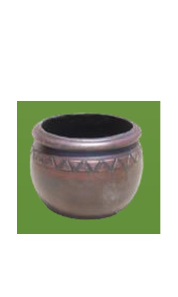 Angelica Pot