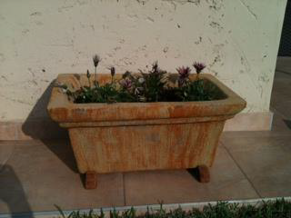 Flower Box