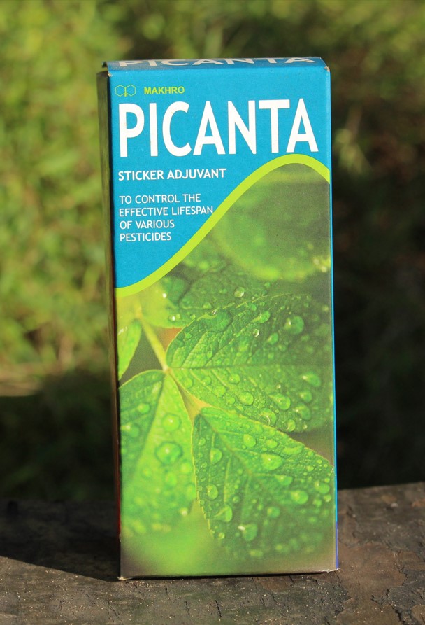 Picanta