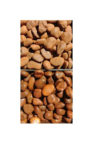 Pebbles Chocolate Brown Large