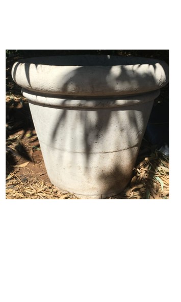Raw Concrete