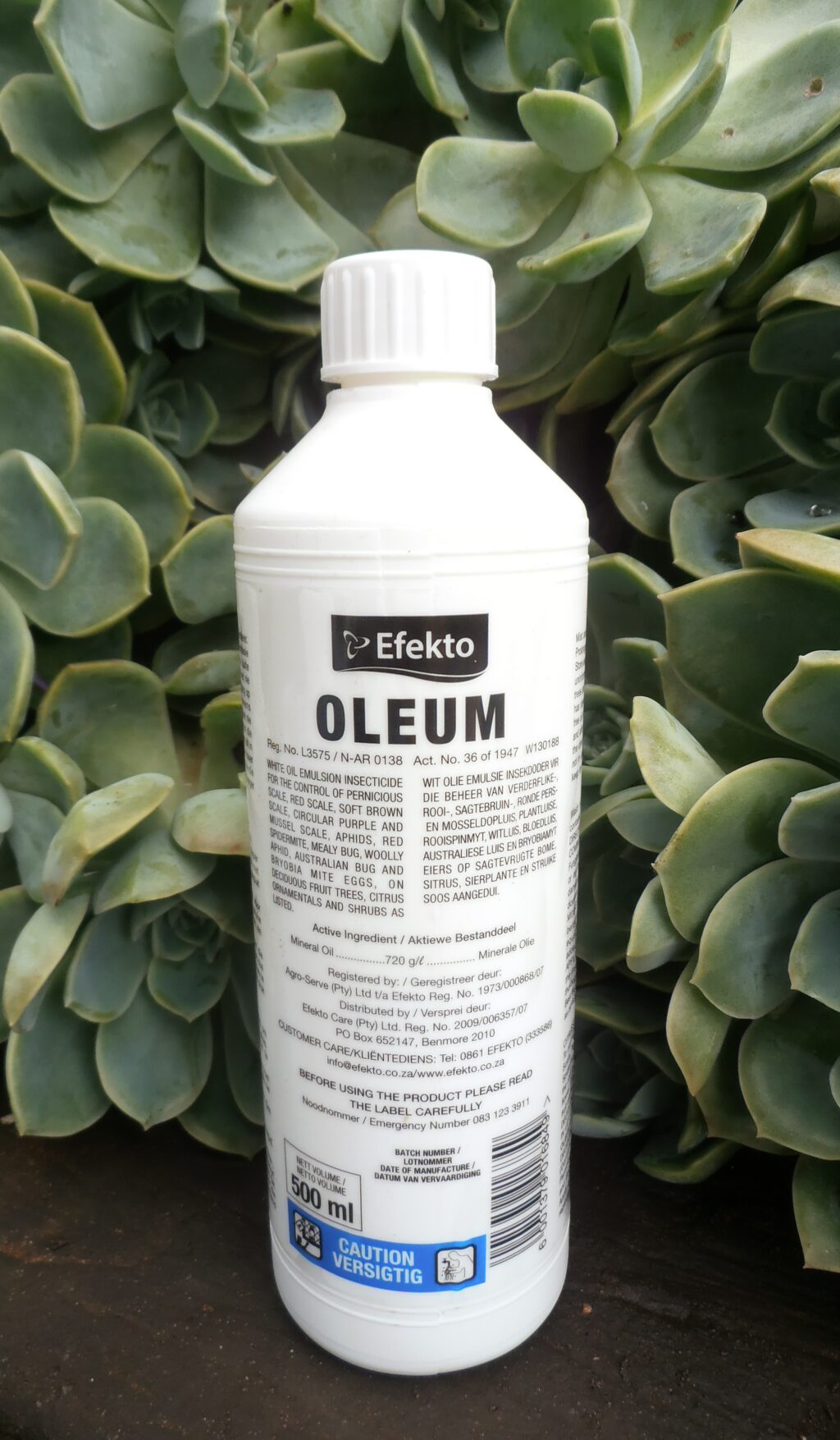 Oleum Insecticide 500ml