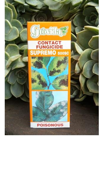 Plant Care Products