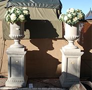 PP71A & PT501A
