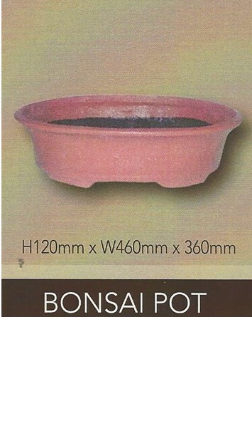 Bonsai Pot