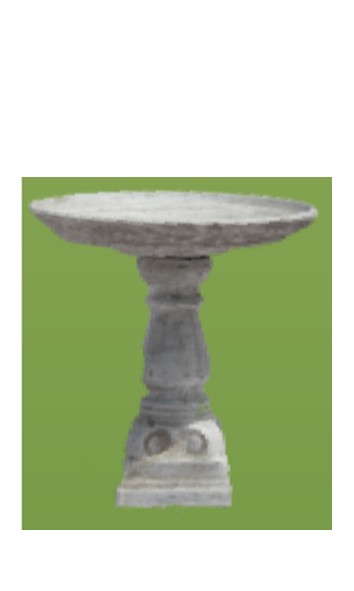 Bird Bath