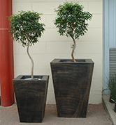 Plant Pot FP82A, FB82B, FP82C