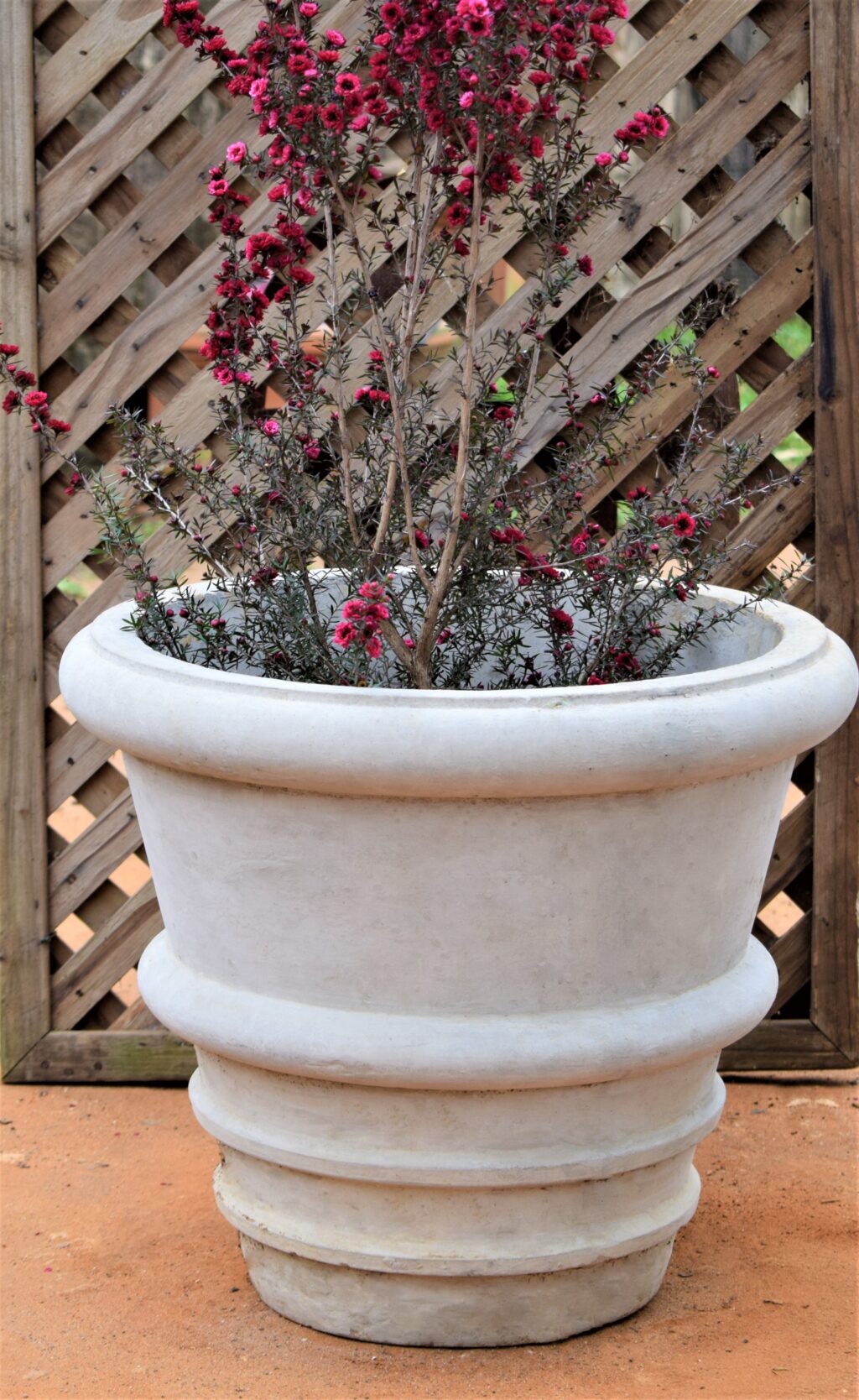 Band Pot Small