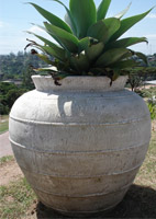 Pot PP810