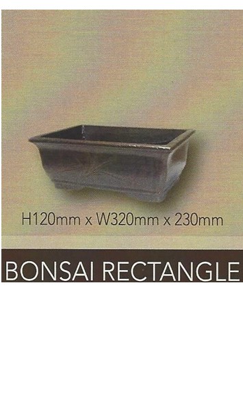 Bonsai Pot Rectangle